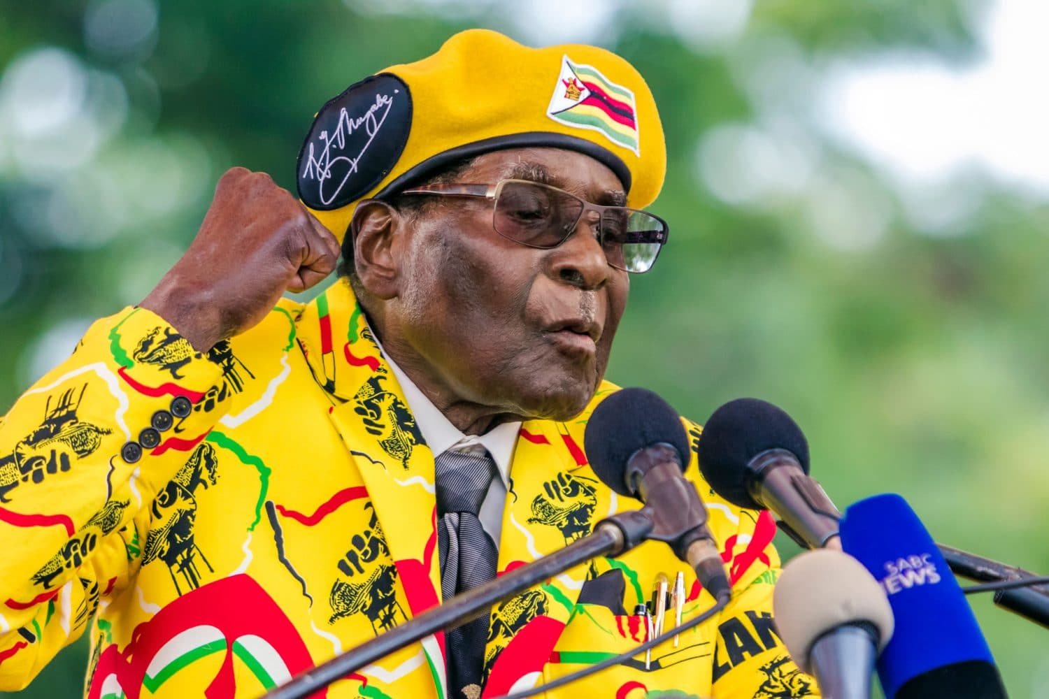 Robert Mugabe, Zimbabwe, Military Coup, Harare, Africa